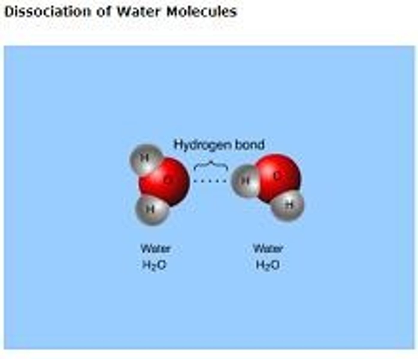 <p>Cohesion means water molecules stick to each other. Cohesion results from hydrogen bonds.</p>