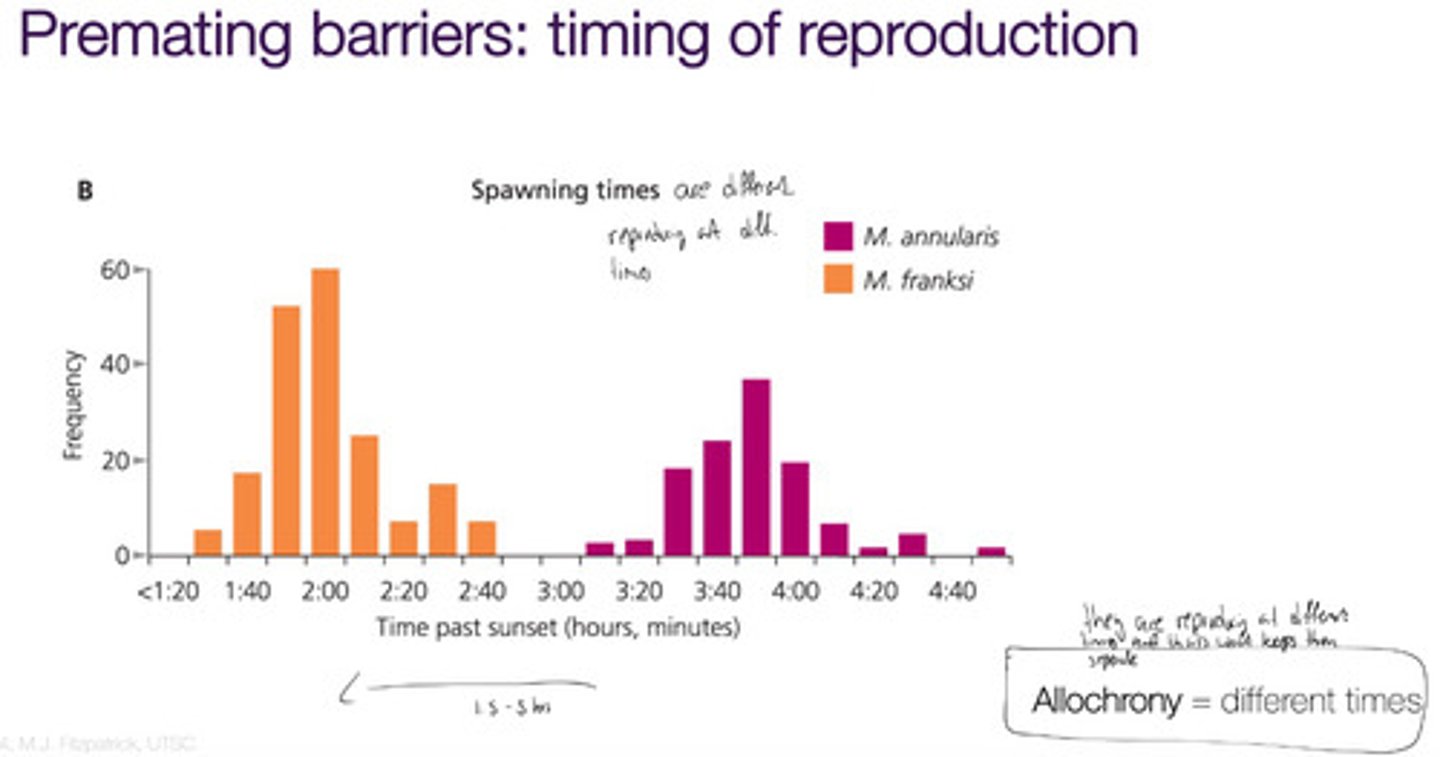 <p>species using the same area or resource, but at different times (includes different mating seasons)</p>