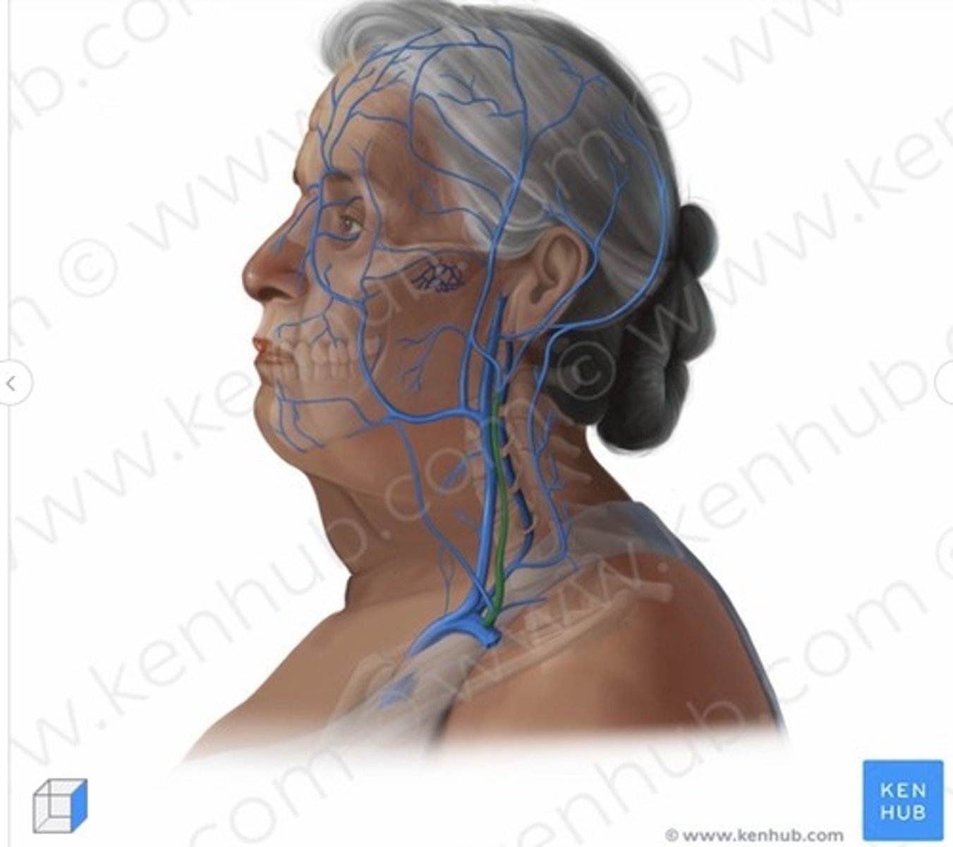 knowt flashcard image