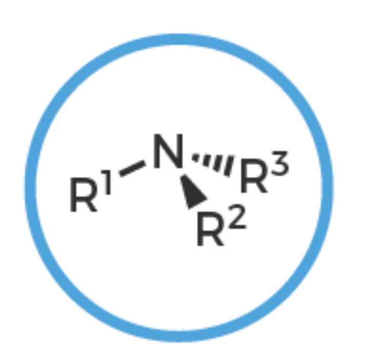 <p>Nitrogen with <strong>THREE Single Bonded R Groups</strong></p>