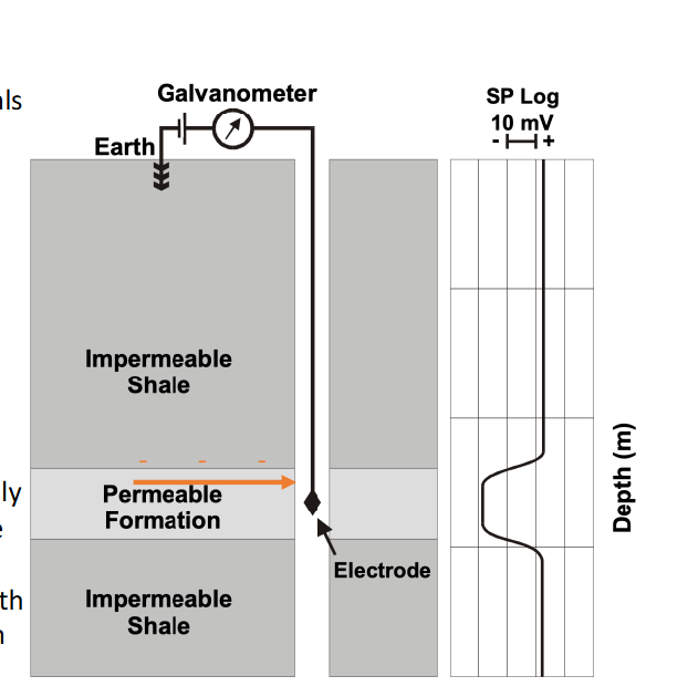<ul><li><p>measures natural electric potential</p></li><li><p>permeable formation, Low SP</p></li><li><p>Impermeable= higher SP</p></li></ul><p></p>