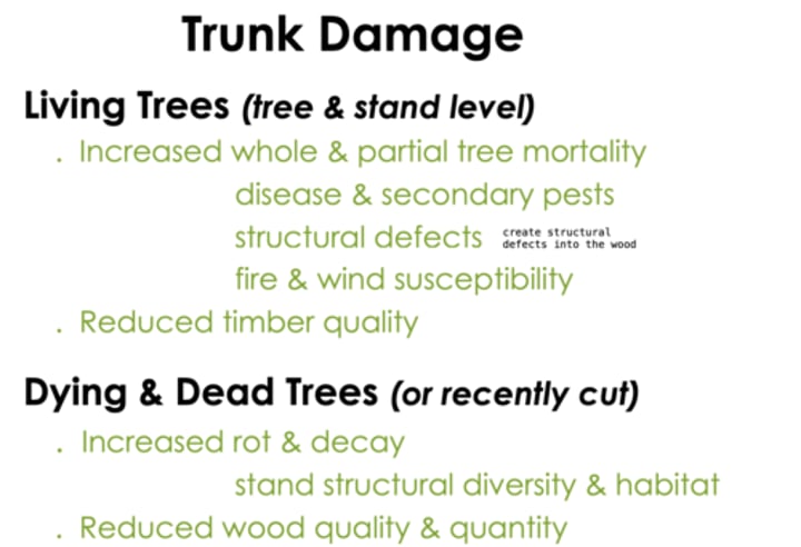 <p>INCREASED<br>-rot and decay<br>-stand structural diversity and habitat<br><br>REDUCED<br>-wood quality and quantity</p>