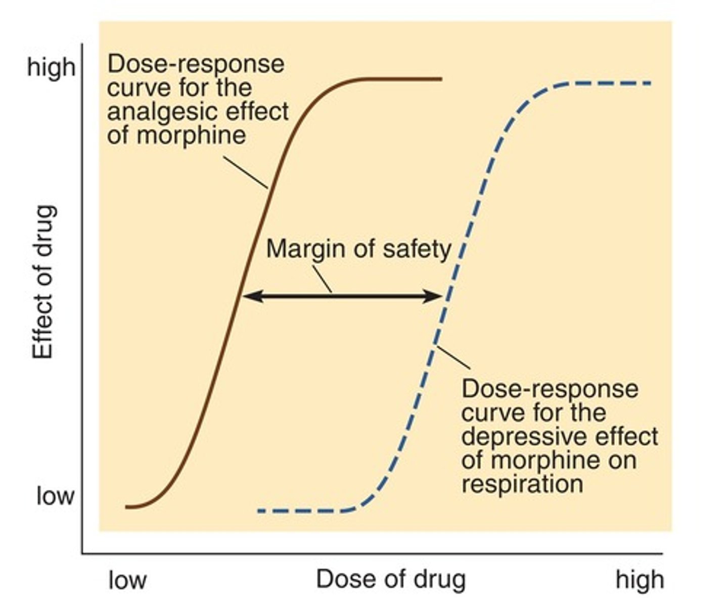 <p>Difference between therapeutic dose and dose that produces toxicity (like respiratory suppression).</p>