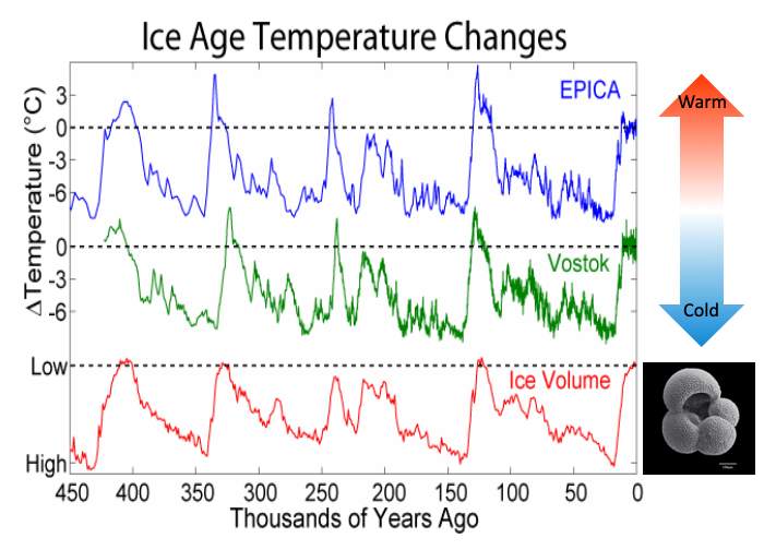 <p><span style="font-family: "Times New Roman"; line-height: normal; font-size: 7pt;"><span> </span></span>Correlations exist between ice cores (EPICA, Vostok)</p><p class="MsoListParagraphCxSpMiddle">Correlations extend to marine core records of global ice volume</p><p class="MsoListParagraphCxSpMiddle"><span style="font-family: "Times New Roman"; line-height: normal; font-size: 7pt;"><span> </span></span>Multiple archives, multiple lines of evidence, thus showing that glacial-interglacial cycle exists</p>