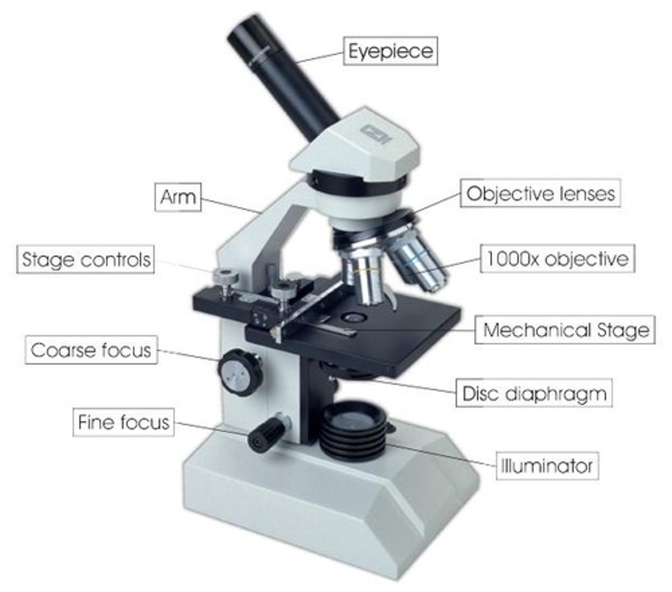 <p>• Light passes through thinly sliced material</p><p>• In general can distinguish organelles 2 micrometers or larger in diameter</p><p>• Can magnify up to 1500x</p>