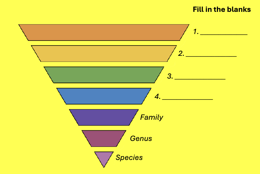 <p>fill in the blanks </p>