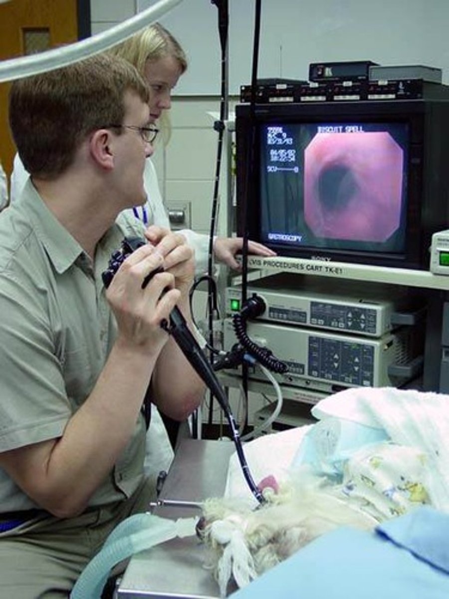 <p>visual examination</p>