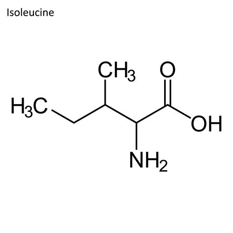 <ul><li><p>Branched, asymmetric side chain</p></li><li><p>Very hydrophobic</p></li><li><p><strong>BCAA</strong></p></li><li><p><strong>Two chiral centers</strong></p></li></ul><p></p>
