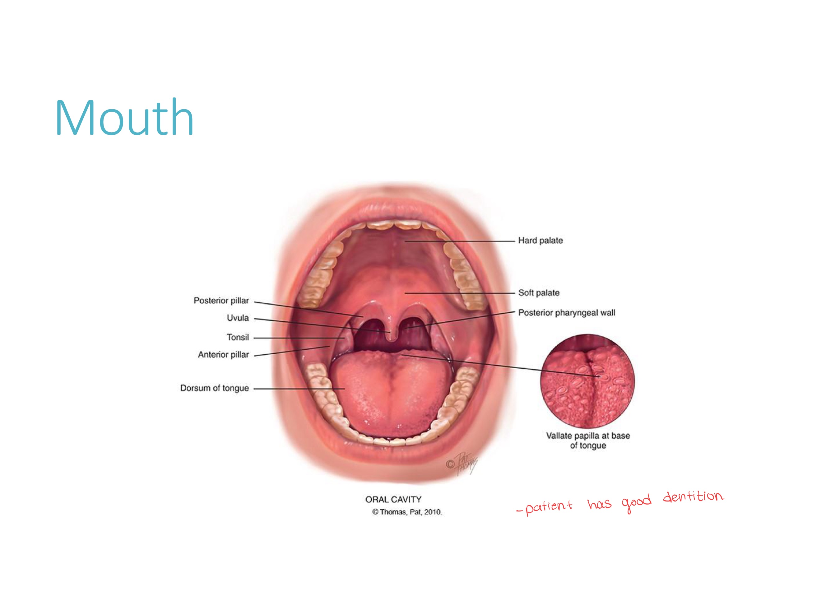 knowt flashcard image
