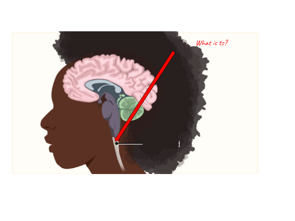 <p>Identify the highlighted region and the textbook definition associated with it</p>