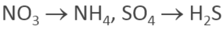 <ul><li><p>soils that are anaerobic will have stable NH<sub>4</sub> and sulfides (HS<sup>-</sup>)</p></li><li><p>soil dries during drought, O<sub>2</sub> enters and oxidizes N to nitrate and S to sulfate, releasing H<sup>+</sup> (acid forming)</p></li><li><p>dry soils that flood during high water become anaerobic (alkaline forming reactions)</p></li></ul><p></p>