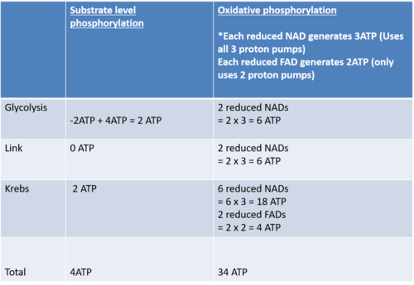 knowt flashcard image
