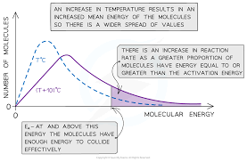 <p>particles move around more quickly which increases frequency of collisions…proportion of successful collisions increases due proportion of molecules exceeding activation energy increases</p>