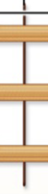 <p>where thick myofilaments attach, dark line in middle of H zone</p>