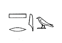 term image