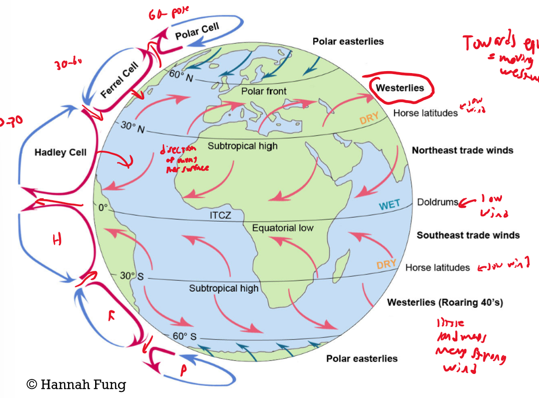 <p>0 degrees: Doldrums/ITCZ (wet, low wind, hadley-hadley intersect)</p><p>0-30 degrees: Northeast Trade Winds (blow southwest)</p><p>30 degrees: Horse Latitudes/Subtropical High(dry, low wind, ferrell-hadley intersect)</p><p>30-60 degrees: Westerlies (blow northeast)</p><p>40 degrees: Roaring 40s (high winds)</p><p>60 degrees: Polar Front (wet, polar-ferrell intersect)</p><p>60-90 degrees: Polar easterlies (blow southwest)</p><p></p><p>*Winds are named after the direction they emerge, not the direction they travel</p>