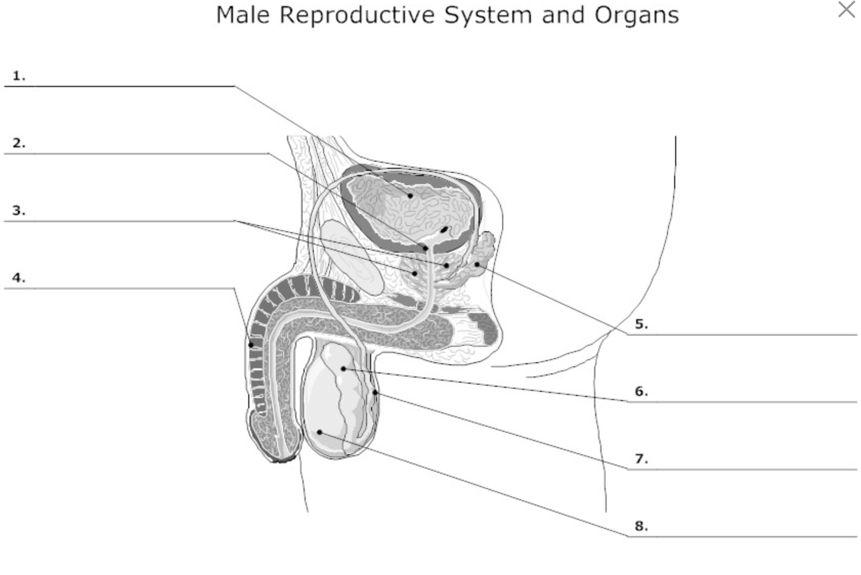 <p>What is #6?</p>