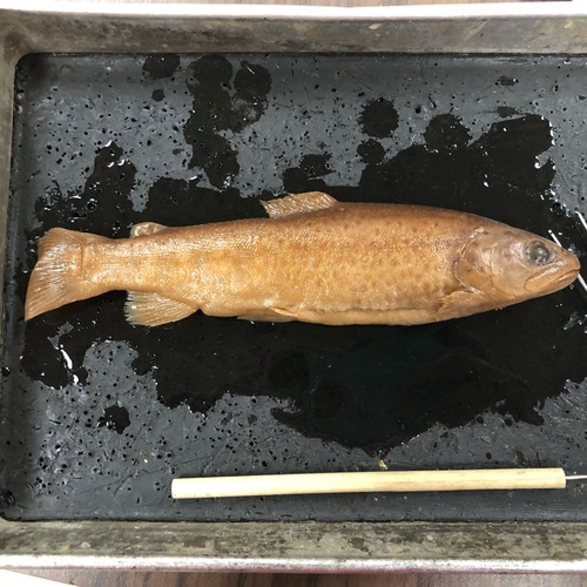 <p>trout</p>