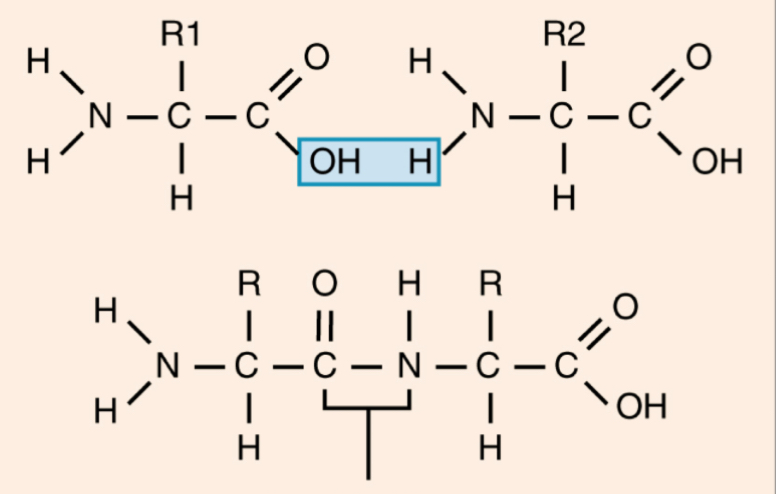 <p>What is this?</p>