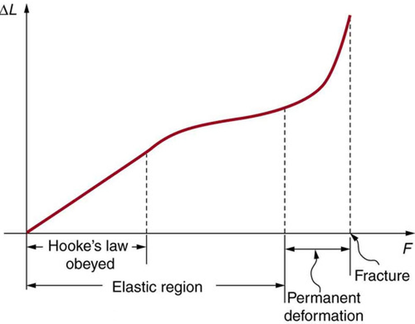 <p>Hooke's Law states that the deformation of an object is proportional to the applied force, expressed as F = kΔL, where F is the force applied, ΔL is the change in length, and k is the proportionality constant.</p>