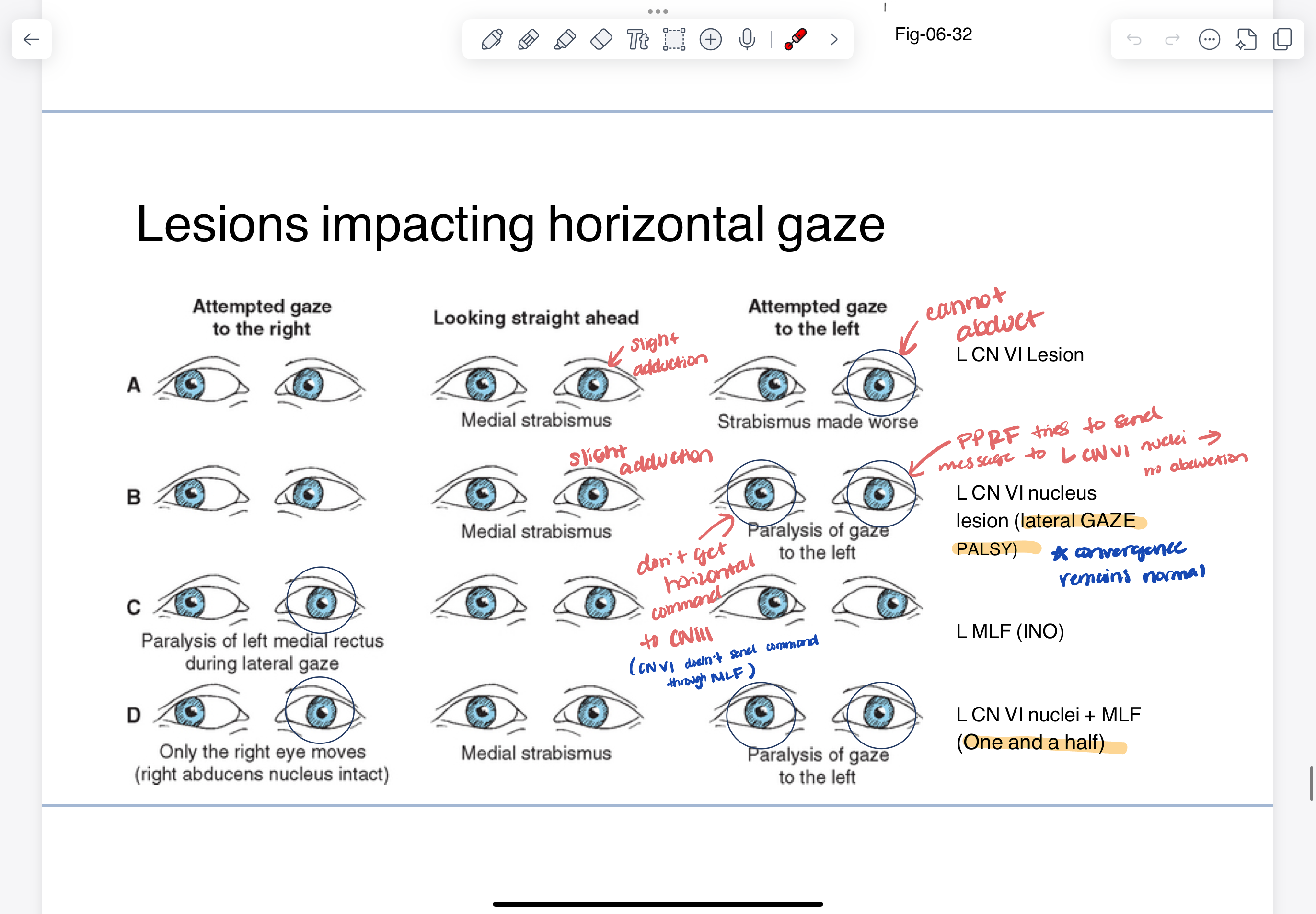 knowt flashcard image