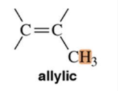 <p>Allylic Hydrogen </p>