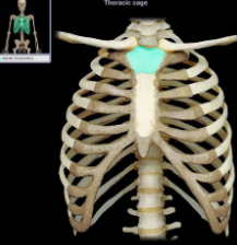 top of sternum