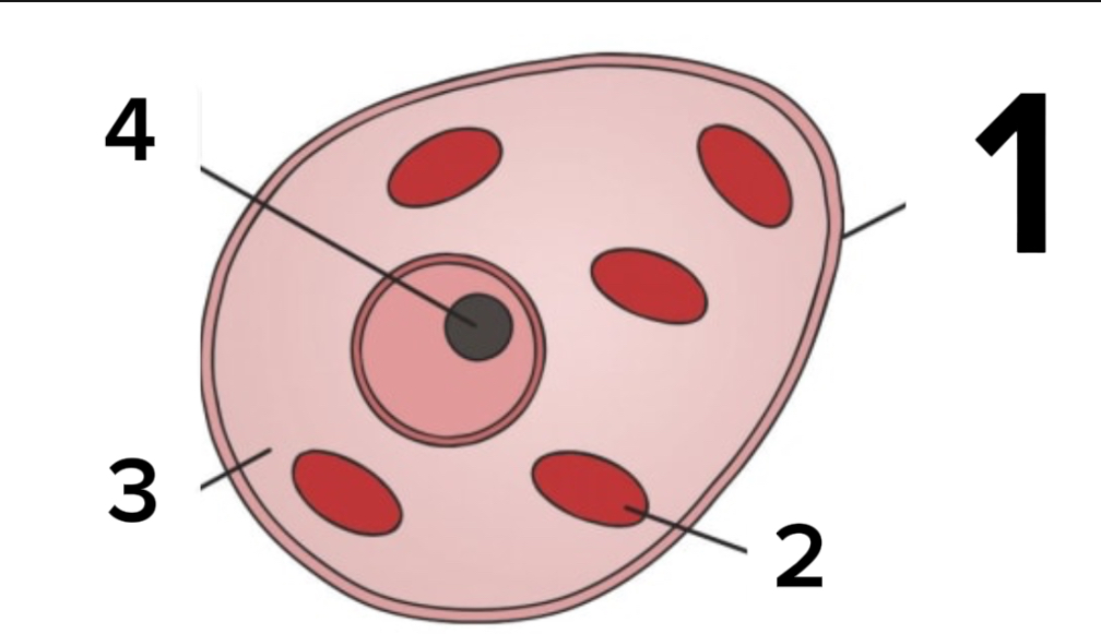 <p>Label this diagram</p>