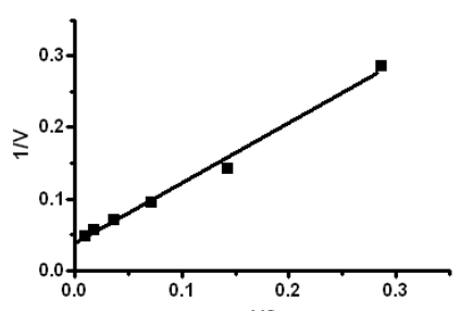 <p><span><span>A student collected steady state data and plotted the velocity and substrate concentration as the Lineweaver-Burk plot shown below. Estimate the V</span></span><sub>max</sub><span><span>.</span></span></p>