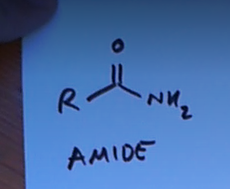 <p>An amide</p>