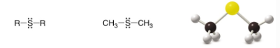 <p>SP<sup>3 </sup>Carbon</p>