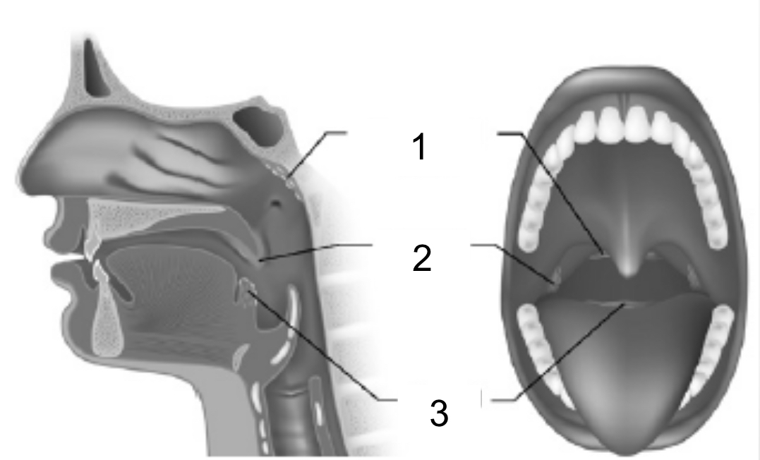 <p>1</p>