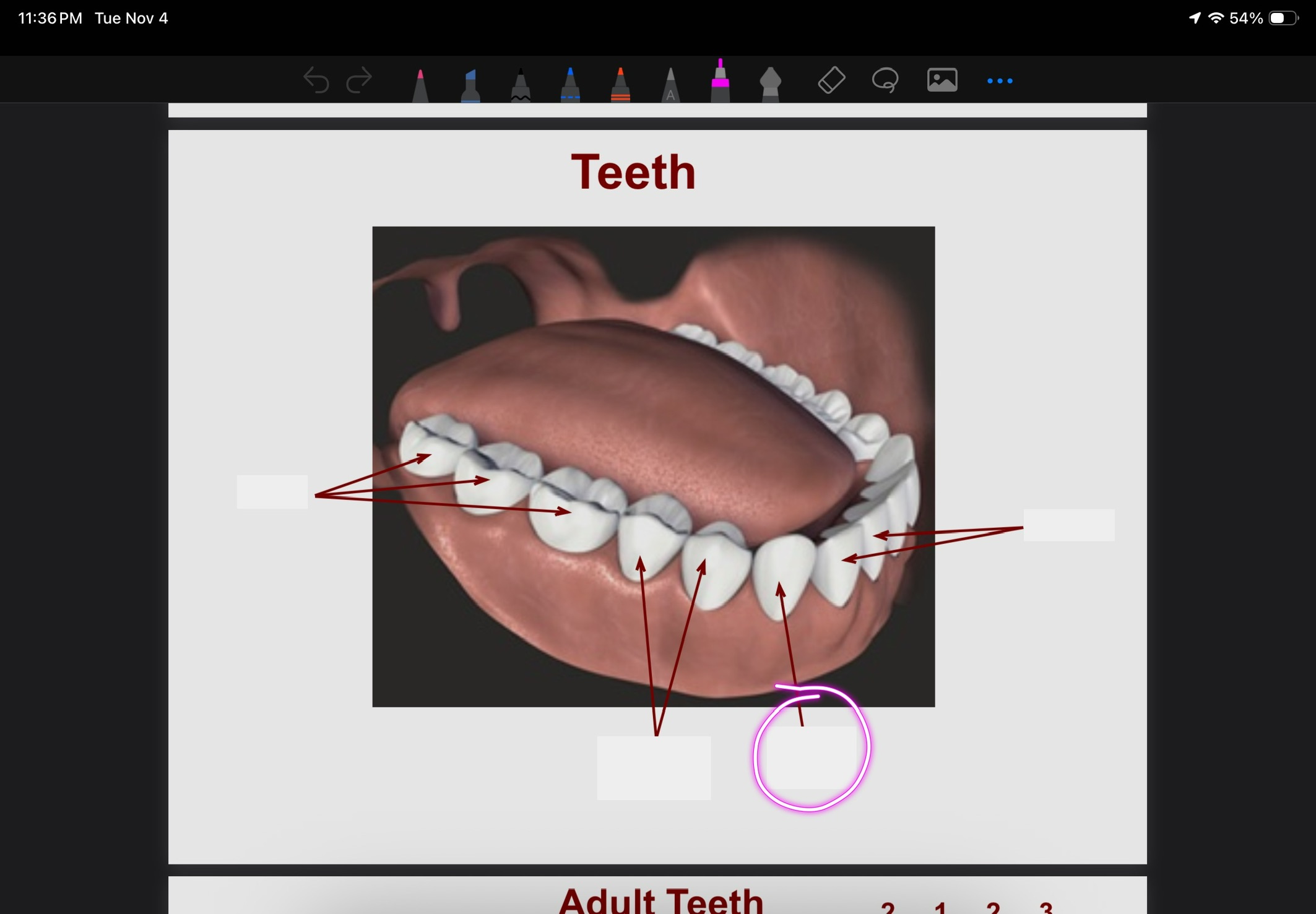 <p>What is this?</p>