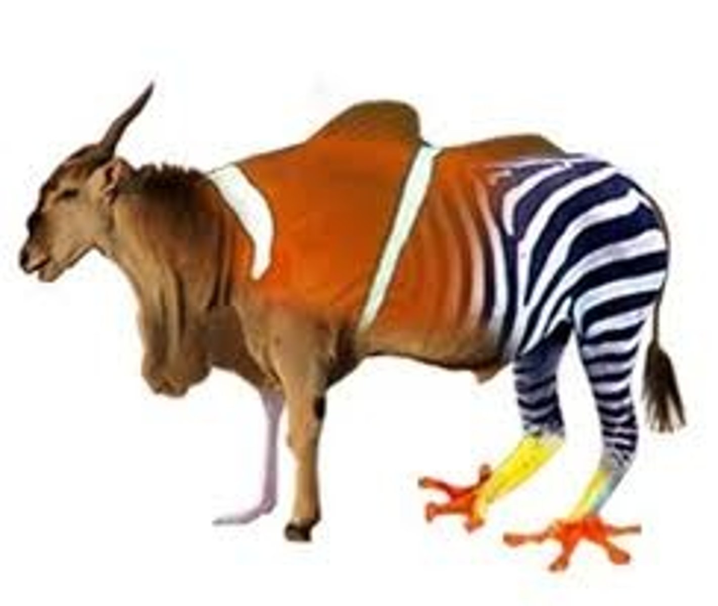 <p>(adj.) Extremely strange, unusual, atypical.<br><br><br>Synonyms: Grotesque, Fantastic, Outlandish<br><br>Antonyms: Normal, Typical, Ordinary, Expected</p>