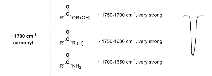 <p>~1750-1700cm-1</p>