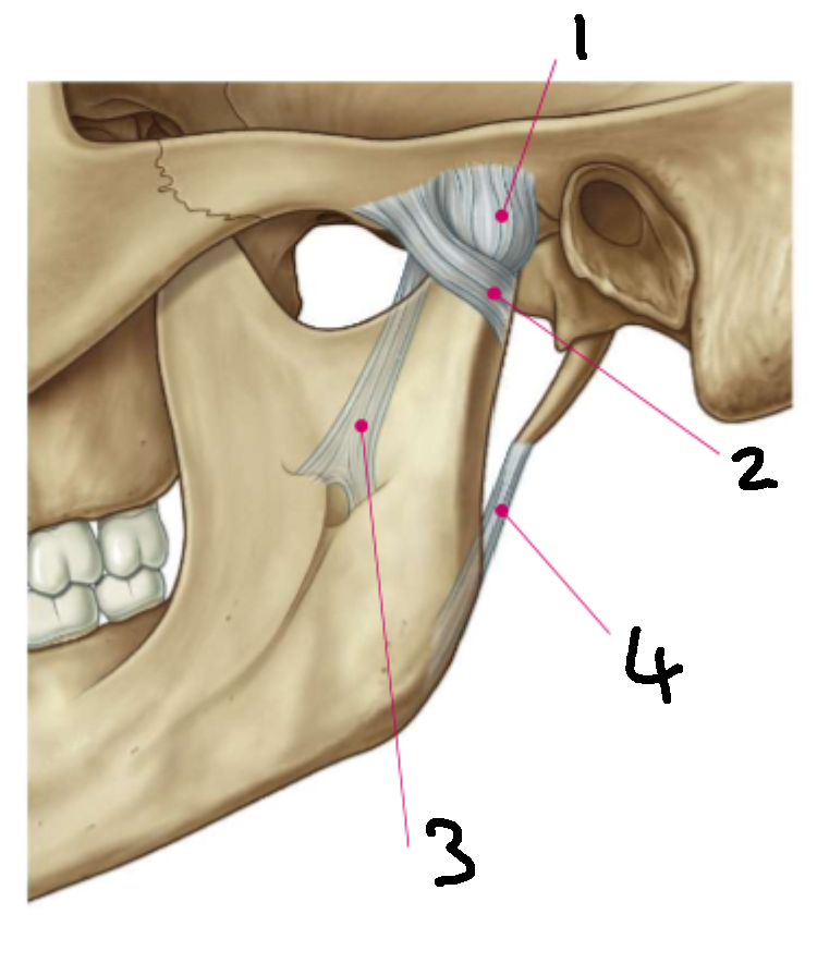 <p>What is 3?</p>