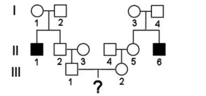 <p>The disease depicted above is an autosomal recessive disorder.</p><p style="text-align: start">If III-1 and III-2 have kids, what is the probability that their first one <u><span>WON'T</span></u> have the disease?</p>