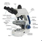 <p>Objective strength x ocular strength= the magnification of image</p><p>Ocular lense ALWAYS 10x magnificationa</p>