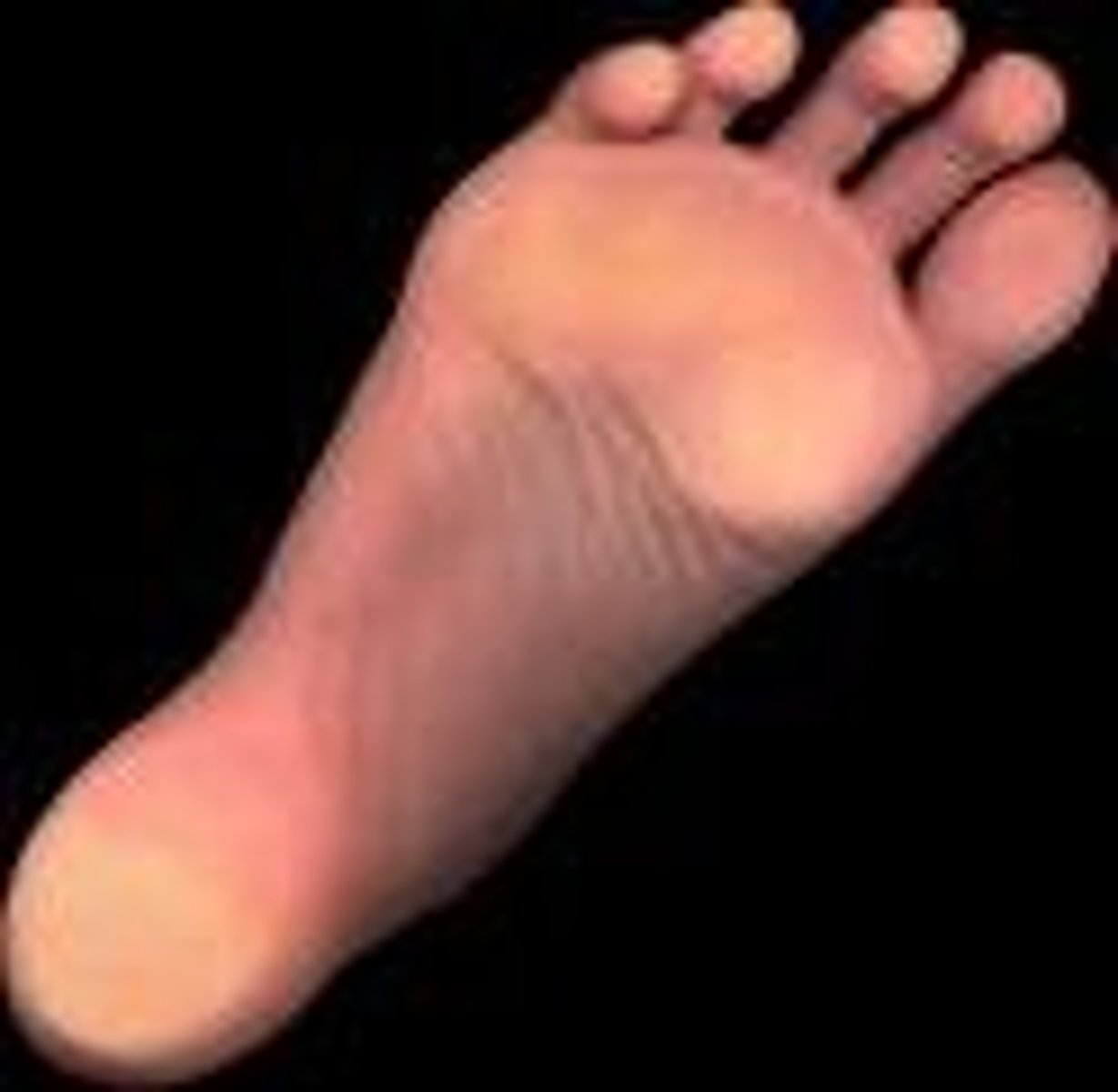 <p>Foot</p>