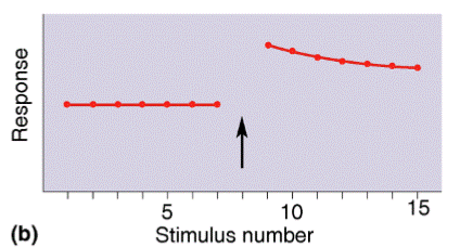 <p>An increase in responsiveness to a stimulus, often after an intense or noxious one.</p><p>ex:</p><ul><li><p>Hearing a sudden gunshot → you become hyper-alert, so even small noises (like footsteps or a door creak) trigger a strong reaction.</p></li><li><p>After a scary movie, every little sound makes you jump.</p></li></ul><p></p>