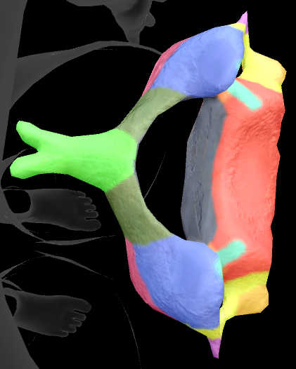 term image