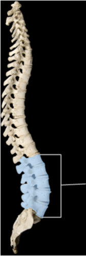 When does the highlighted curvature develop?
