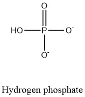 <p>H P O4 ^2-</p>