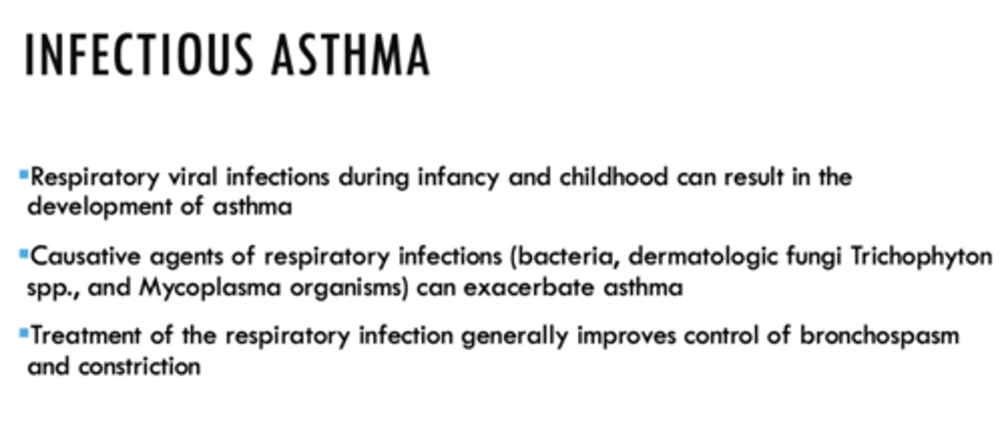<p>Infectious asthma</p>