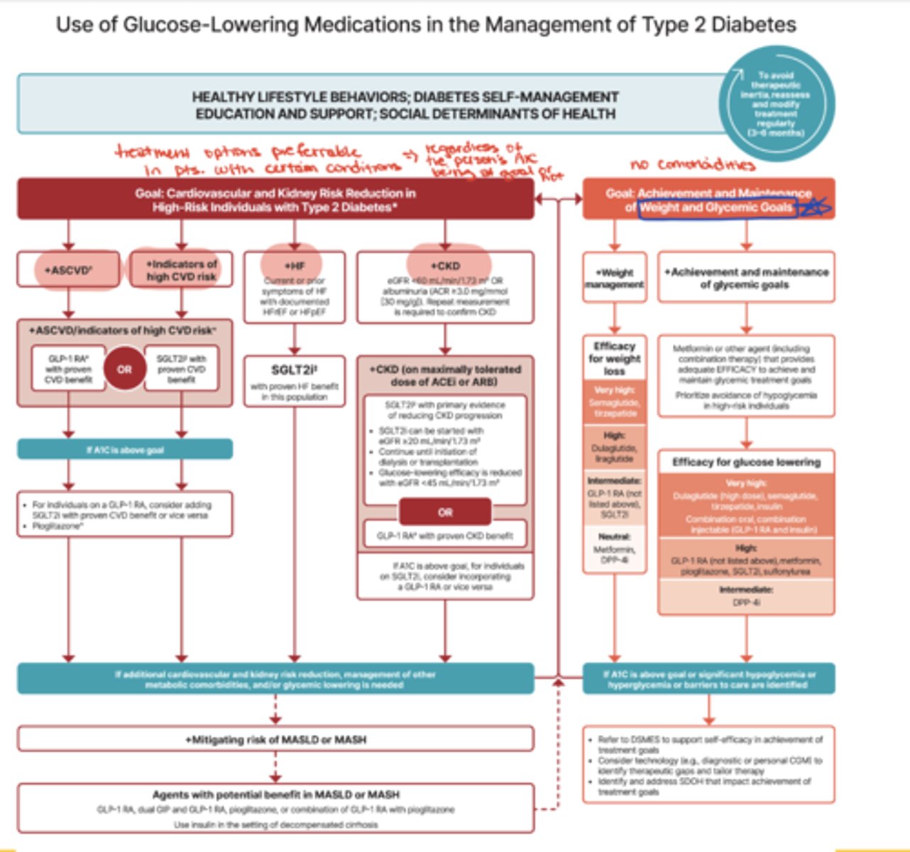 <p>Left-hand side: Focus on patients with specific comorbidities (ASCVD, high CV risk, heart failure, CKD)</p><p>Right-hand side: Focus on patients without those conditions, emphasizing weight management and glycemic goals</p>