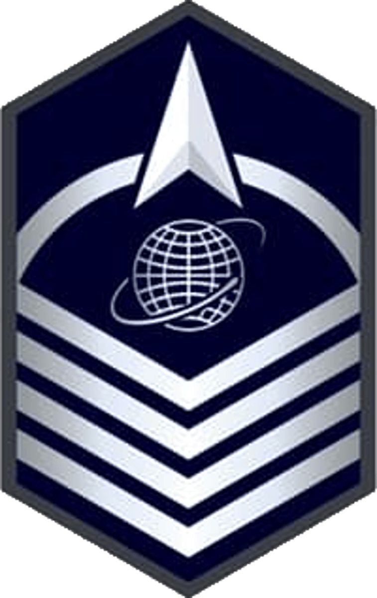 <p>senior non commissioned officer</p>