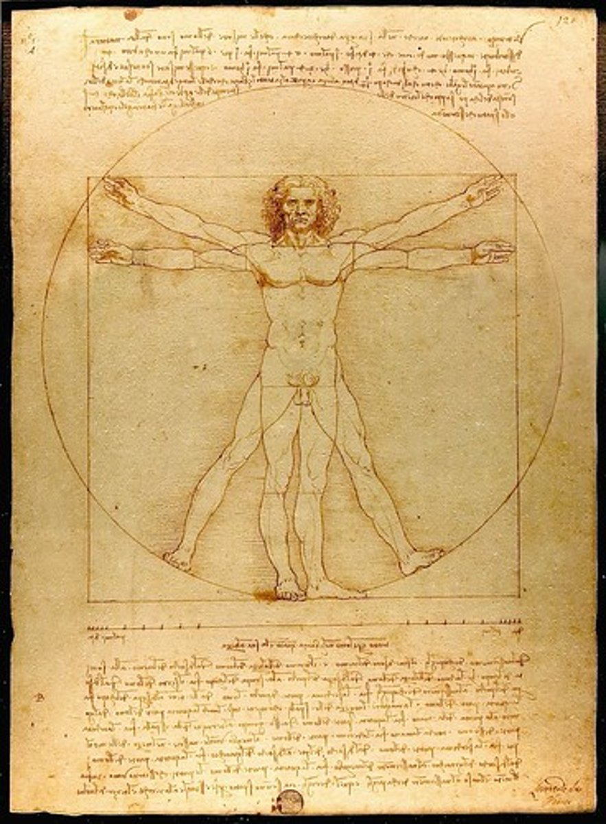 <p>Leonardo da Vinci</p>