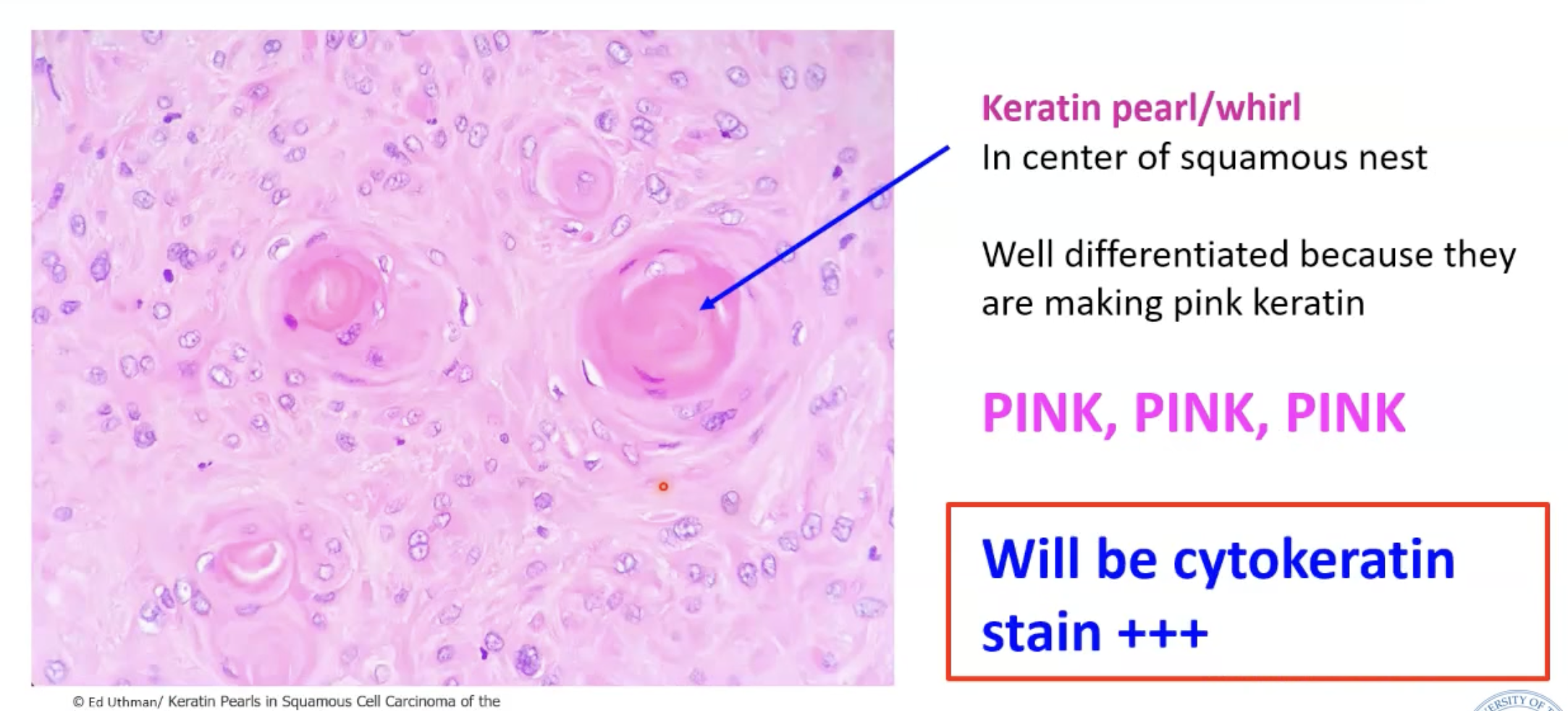 <p>Should be able to to identify this easily!!!!</p>