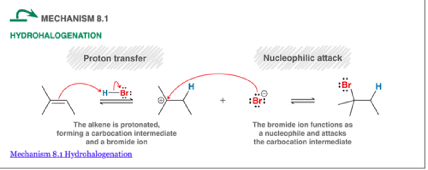 <p>-the addition of HCl or HBr to a multiple bond to give an alkyl halide product</p><p>-Markovnikov addition: HBr</p><p>-Anti-markovnikov addition: HBR and ROOR</p><p>-1 chiral center=pair of enantiomers possible</p>