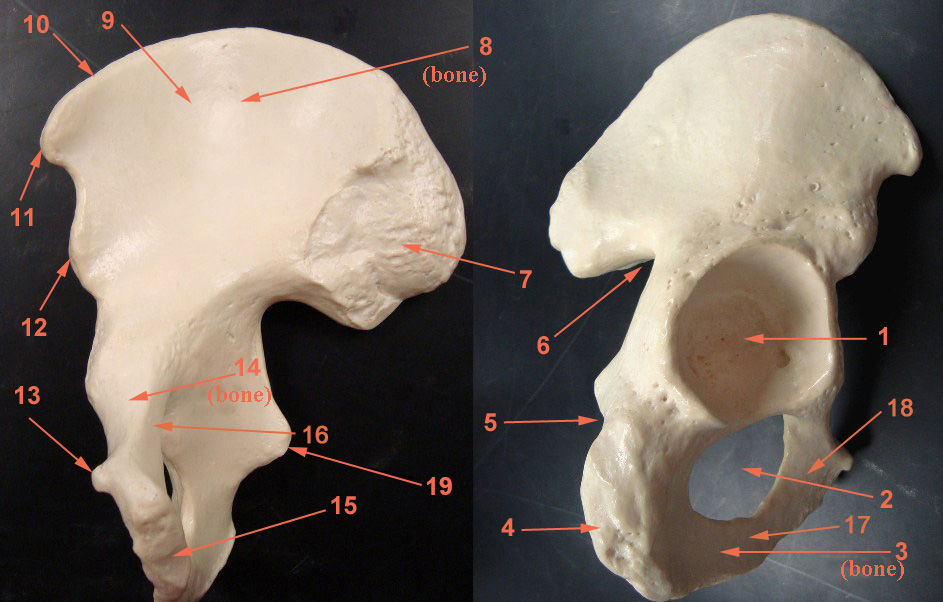 <p>18</p>